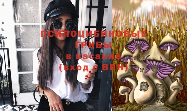 ECSTASY Абинск