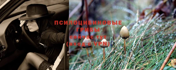 mdpv Абдулино