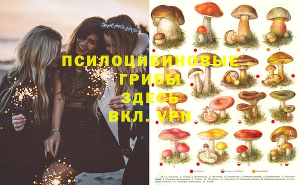 ECSTASY Абинск